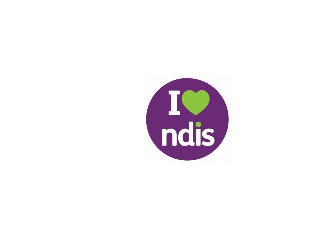 ndis banned logo.jpg