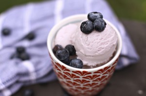 blueberry-frozen-yogurt.jpg