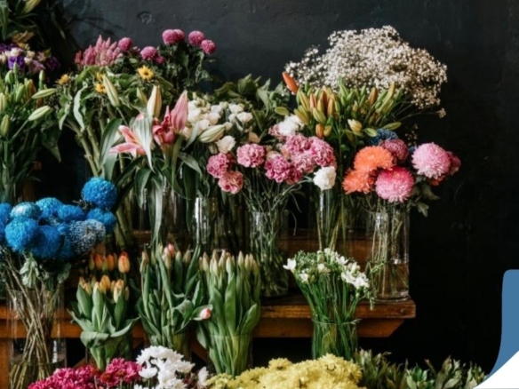 For Sale Well-Established Florist Giftware Cafe Trading 6 Days Bexley Sydney