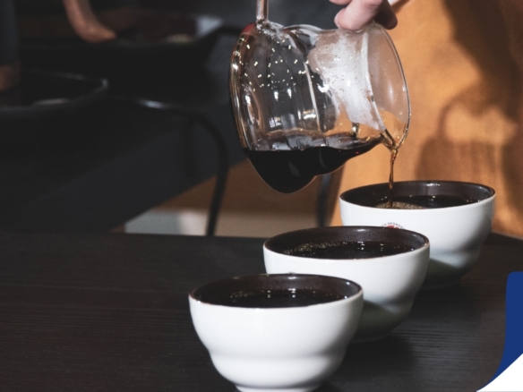 Lower North Shore Cafe for Sale  No Competition 10 Year Lease