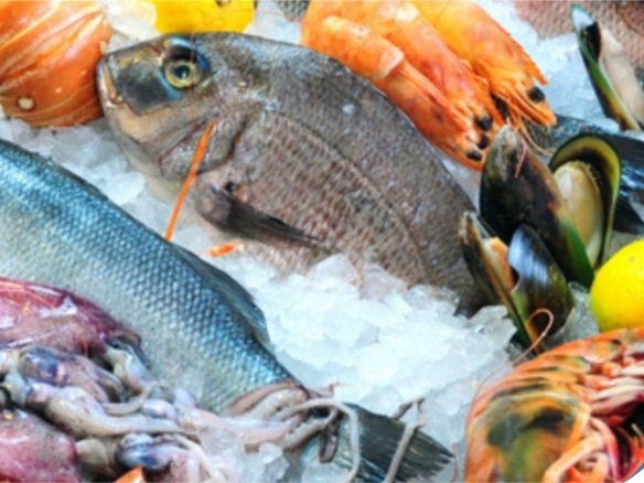 For Sale Premium Fresh & Cooked Seafood Shop  Good Returns with Prime Location